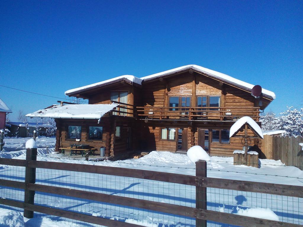 Casa Muntelui - Sambata Guest House ซิมบาตา เด ซุส ภายนอก รูปภาพ