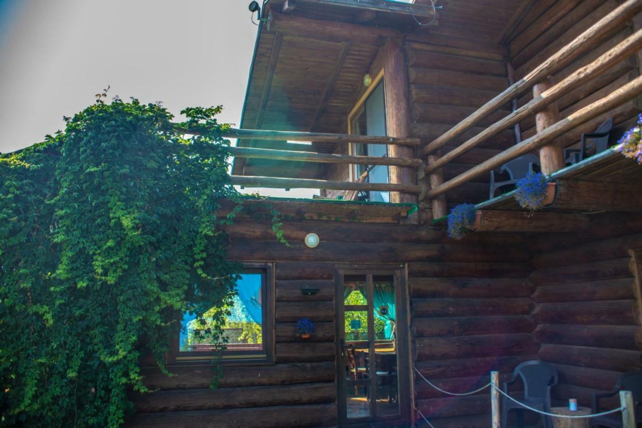 Casa Muntelui - Sambata Guest House ซิมบาตา เด ซุส ภายนอก รูปภาพ